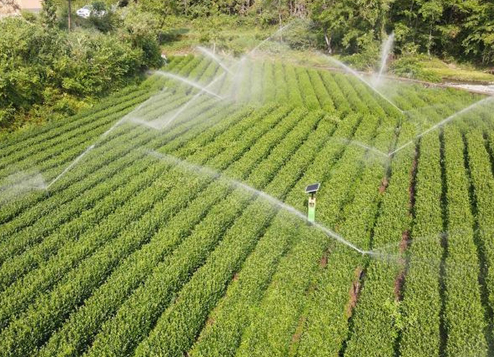 安康 茶園智能噴灌項目